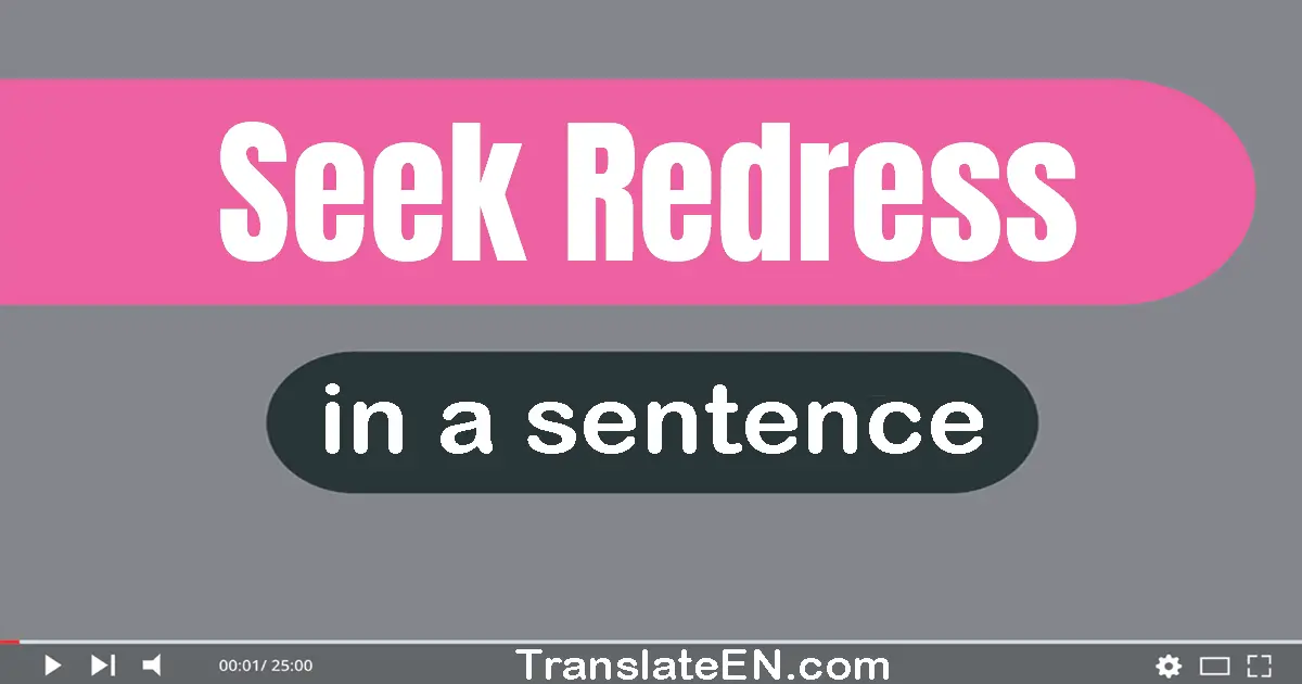 Seek Redress in a sentence