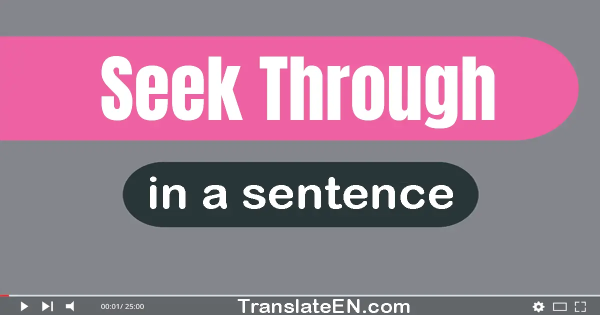 Seek Through in a sentence