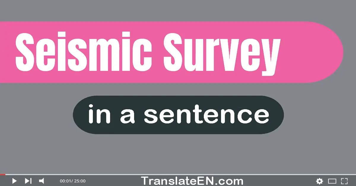 Seismic Survey in a sentence