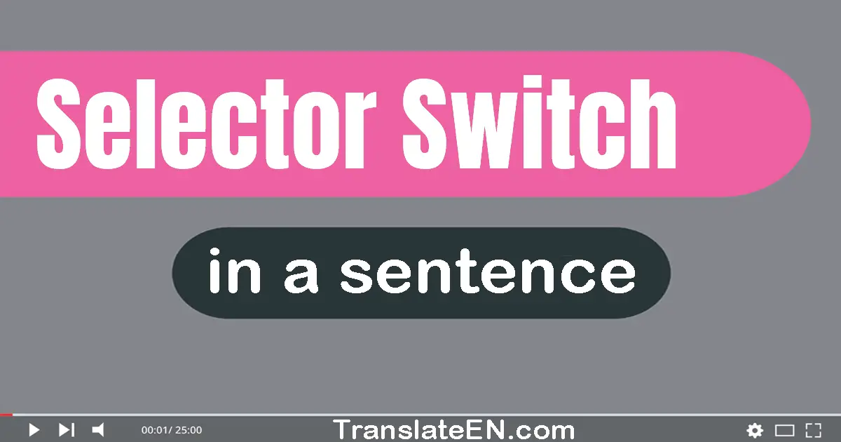 Use "selector switch" in a sentence | "selector switch" sentence examples