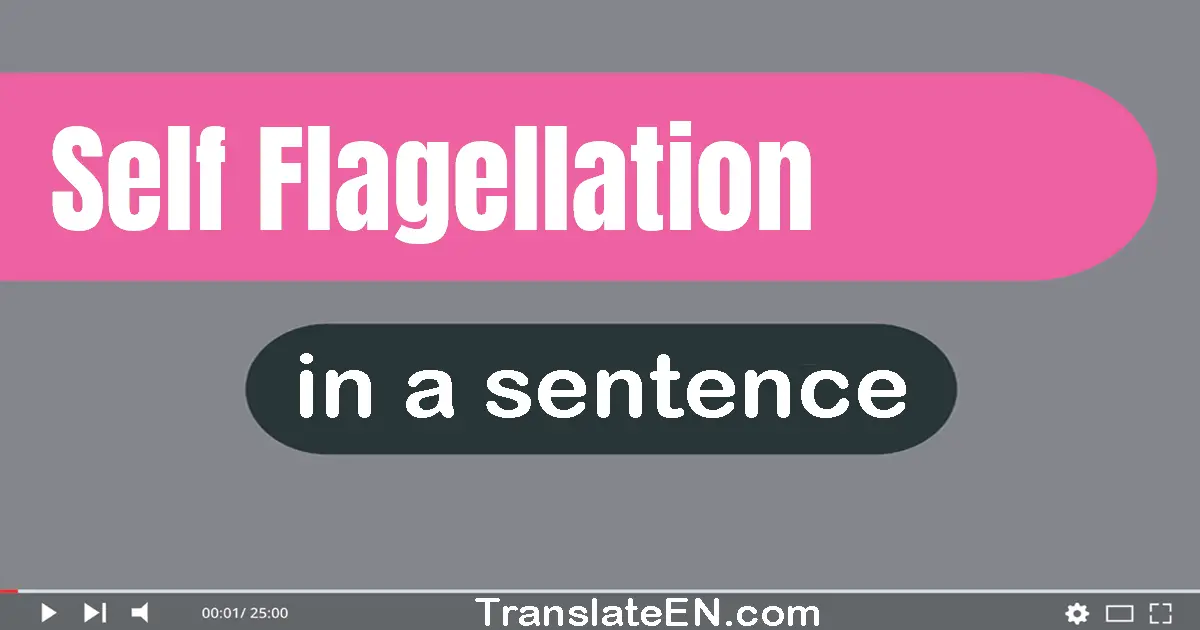 Use "self-flagellation" in a sentence | "self-flagellation" sentence examples