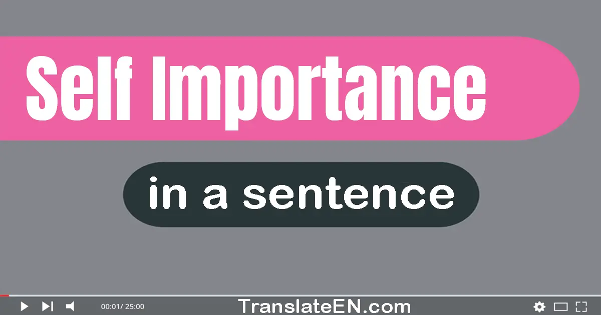 Use "self-importance" in a sentence | "self-importance" sentence examples