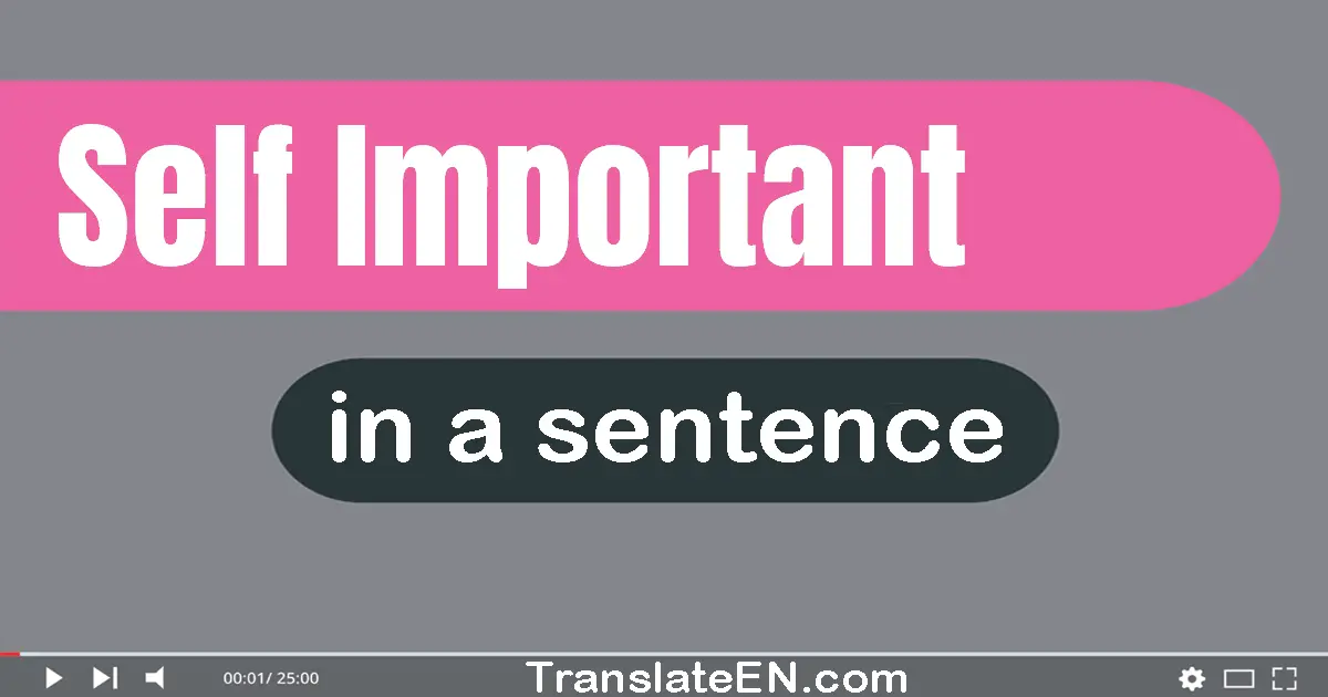 Use "self-important" in a sentence | "self-important" sentence examples