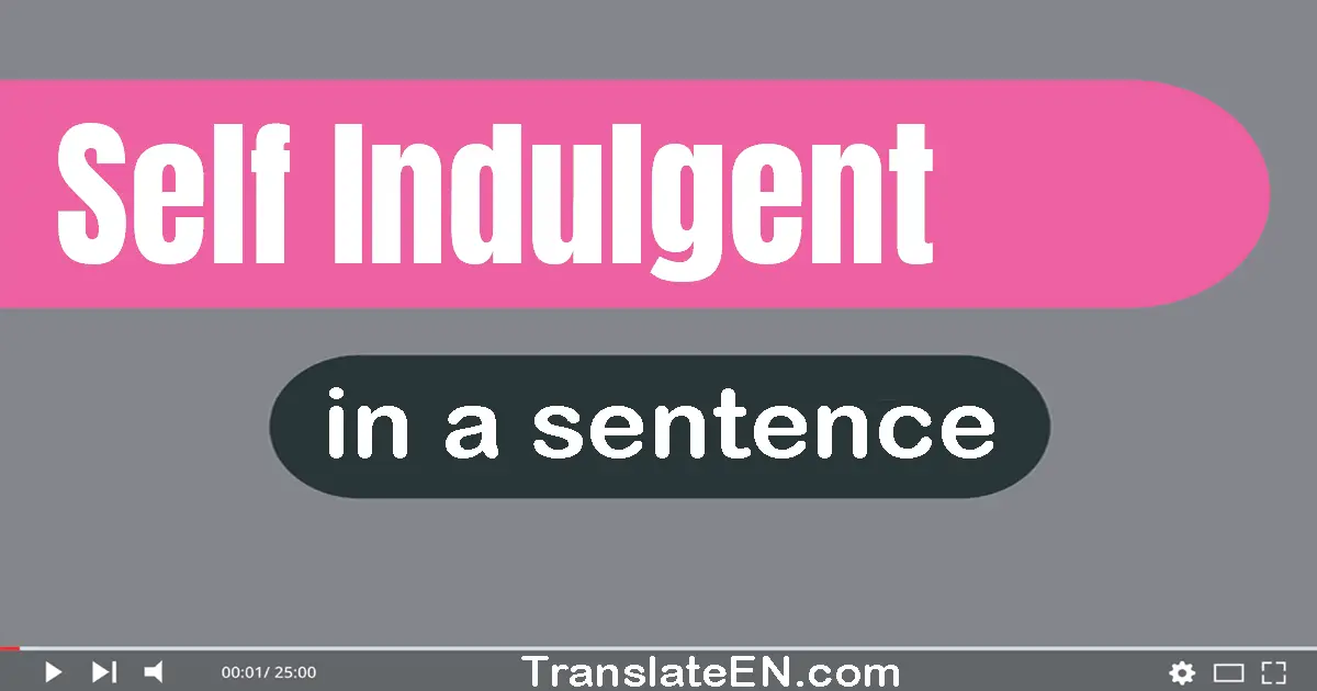 Use "self-indulgent" in a sentence | "self-indulgent" sentence examples