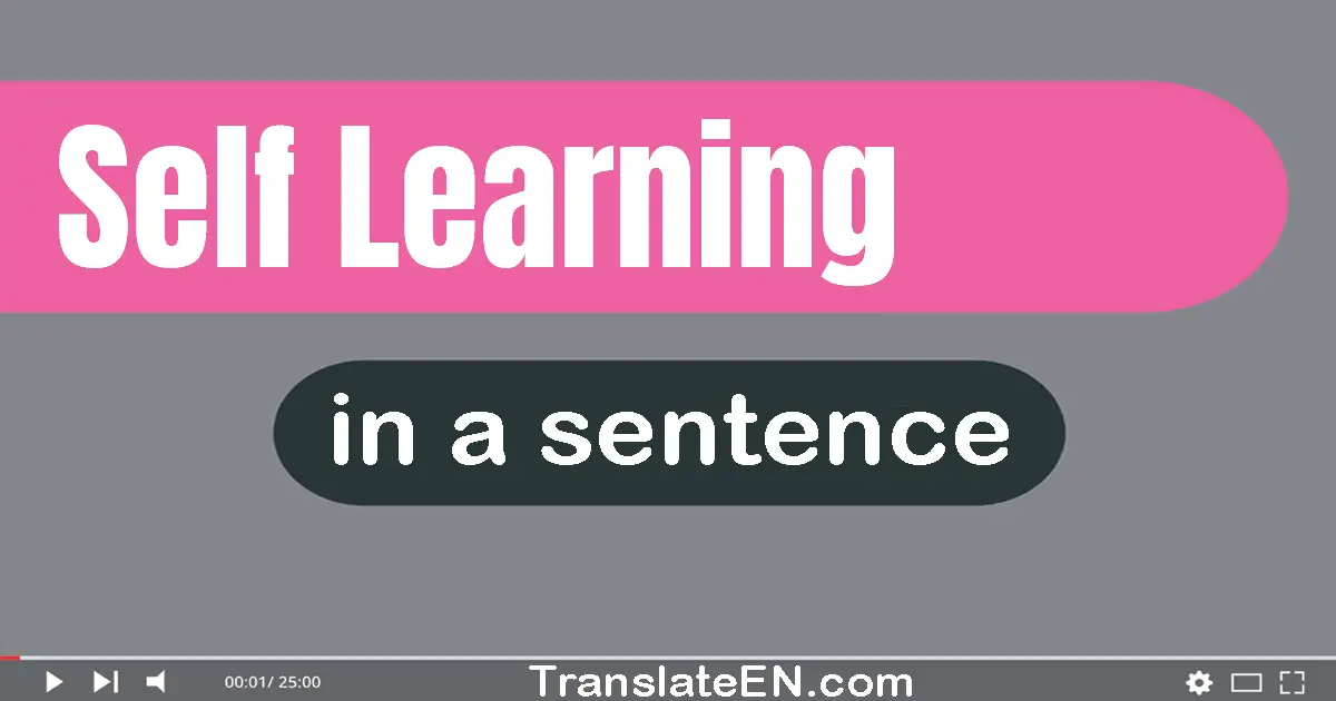 Use "self-learning" in a sentence | "self-learning" sentence examples