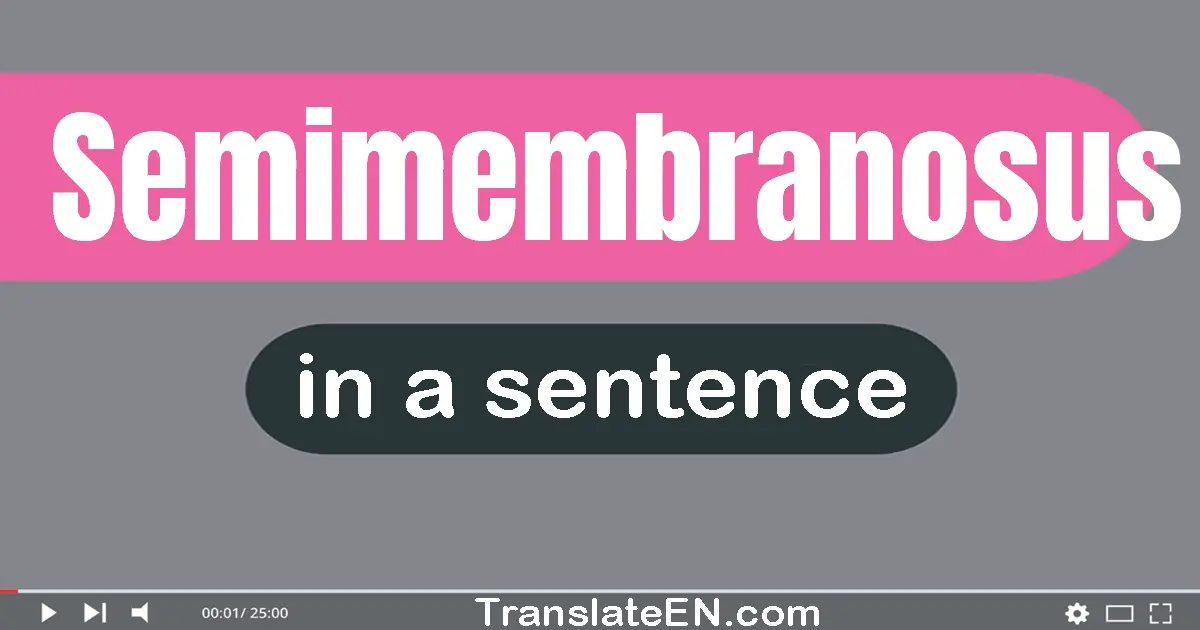 Semimembranosus in a sentence