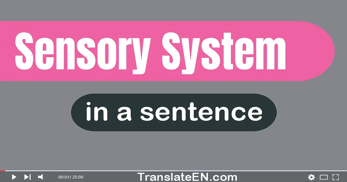 Use "sensory system" in a sentence | "sensory system" sentence examples