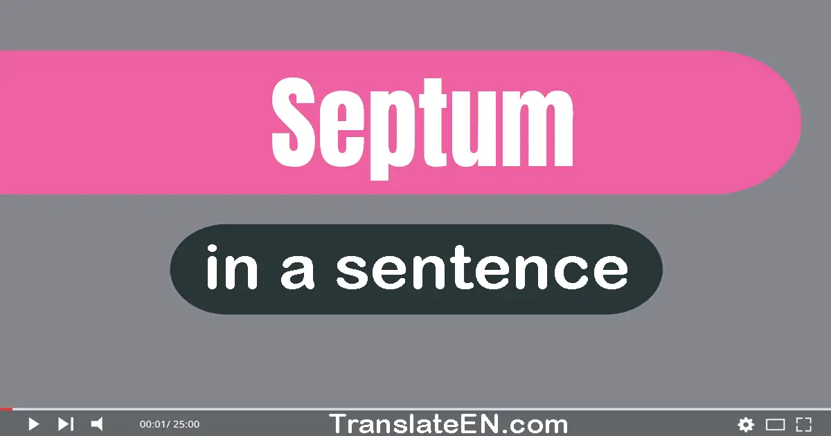 Septum in a sentence