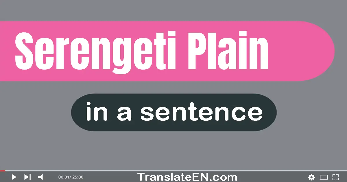 Serengeti Plain in a sentence