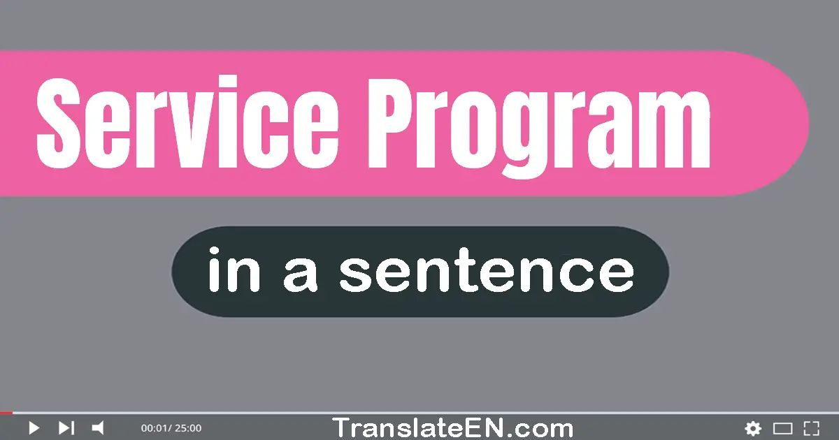 Service Program in a sentence