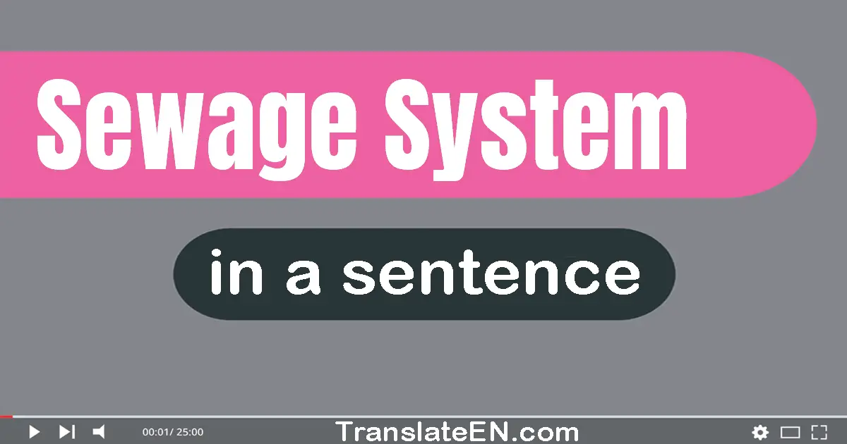 Use "sewage system" in a sentence | "sewage system" sentence examples