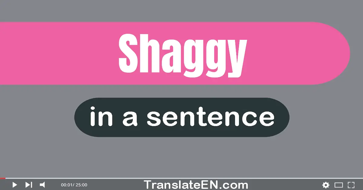 Shaggy in a sentence