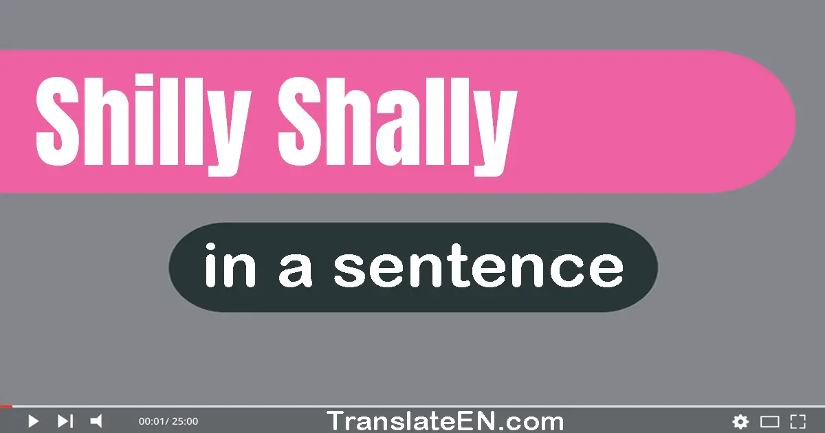 Shilly-shally in a sentence