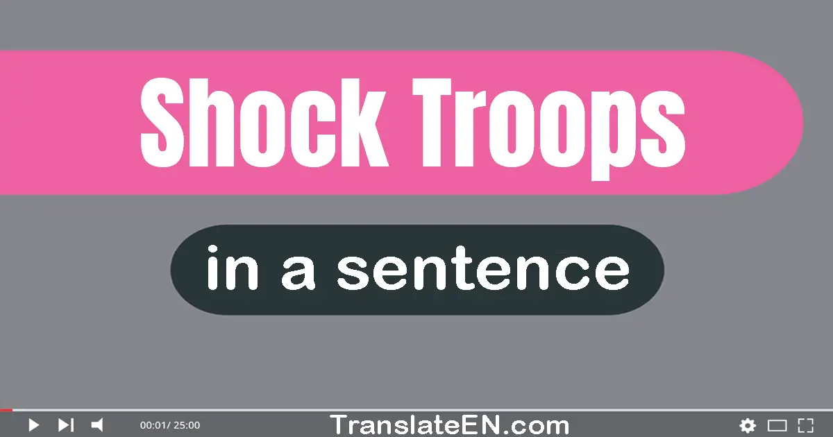 Shock Troops in a sentence