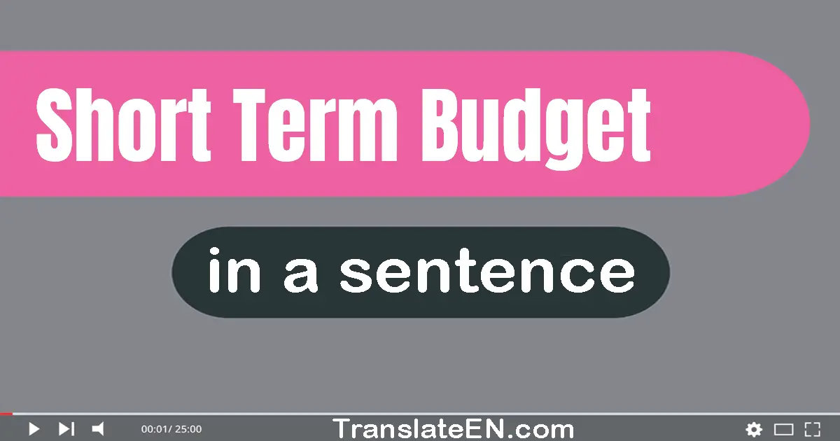 Short-term Budget in a sentence