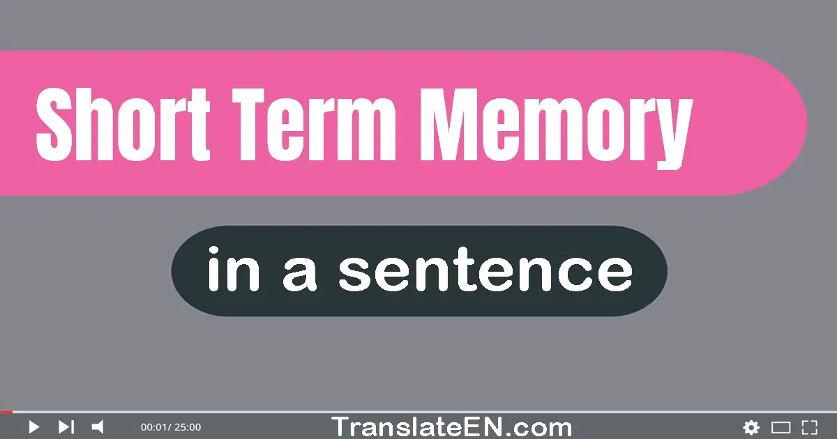 Short-term Memory in a sentence