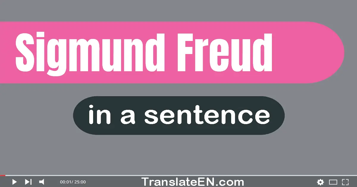 Use "sigmund freud" in a sentence | "sigmund freud" sentence examples