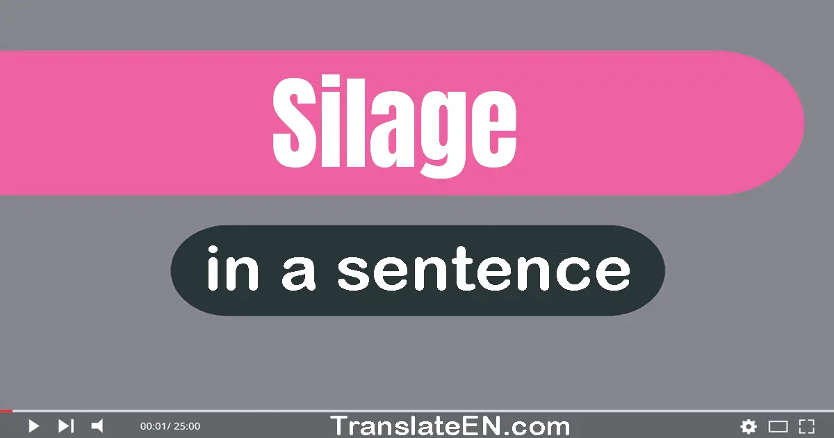 Use "silage" in a sentence | "silage" sentence examples