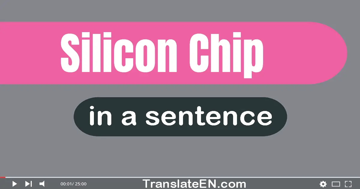 Silicon Chip in a sentence