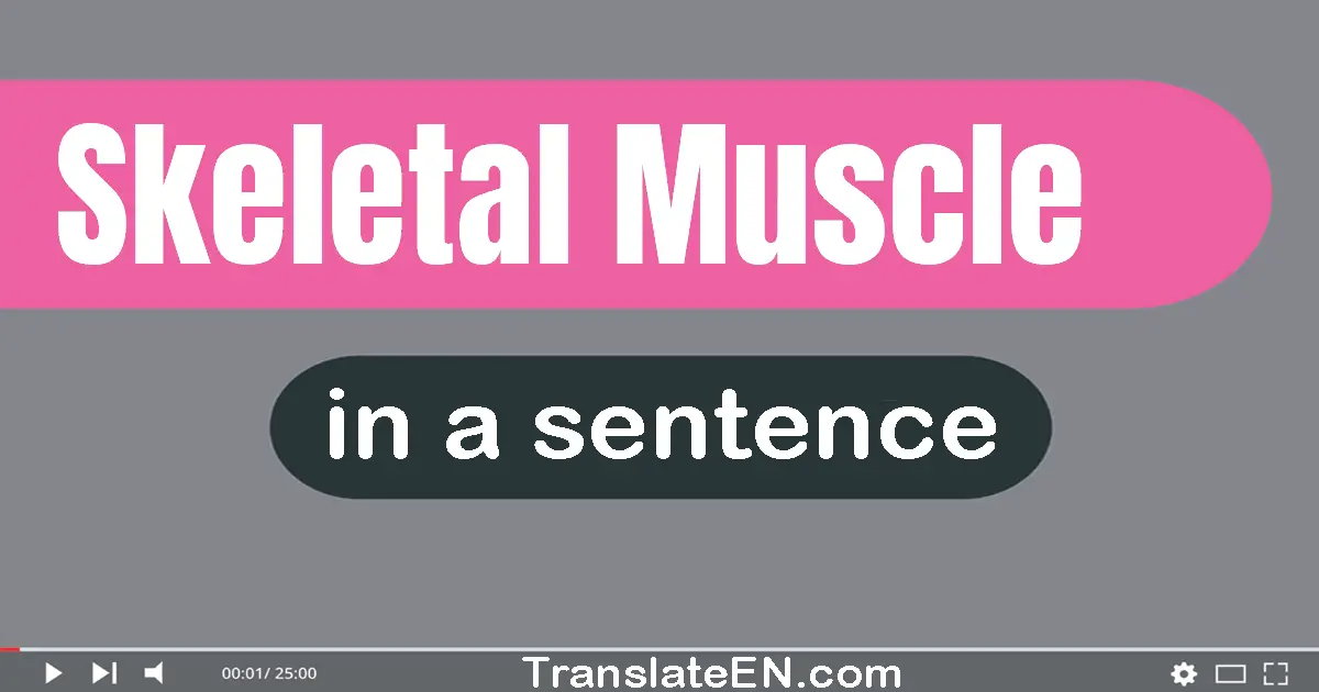 Skeletal Muscle in a sentence