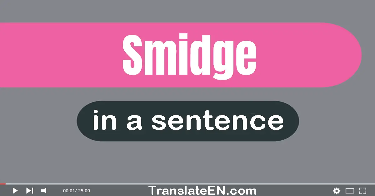 Smidge in a sentence