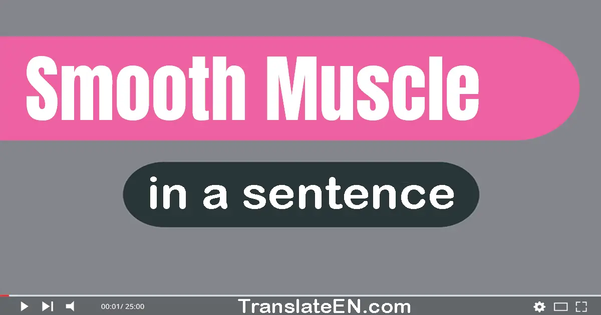 Smooth Muscle in a sentence