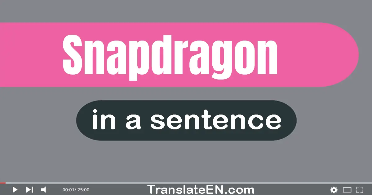 Snapdragon in a sentence