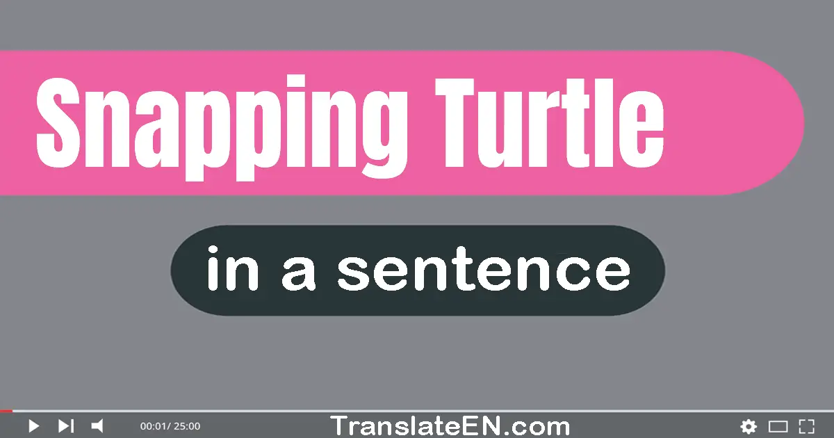 Snapping Turtle in a sentence