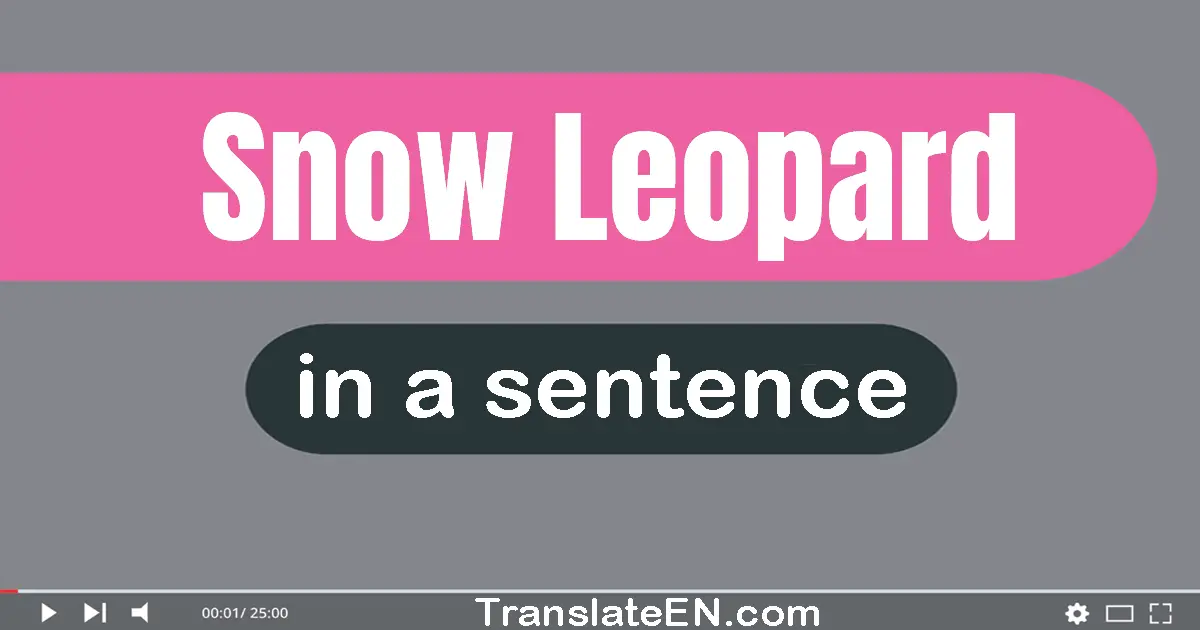 Snow Leopard in a sentence