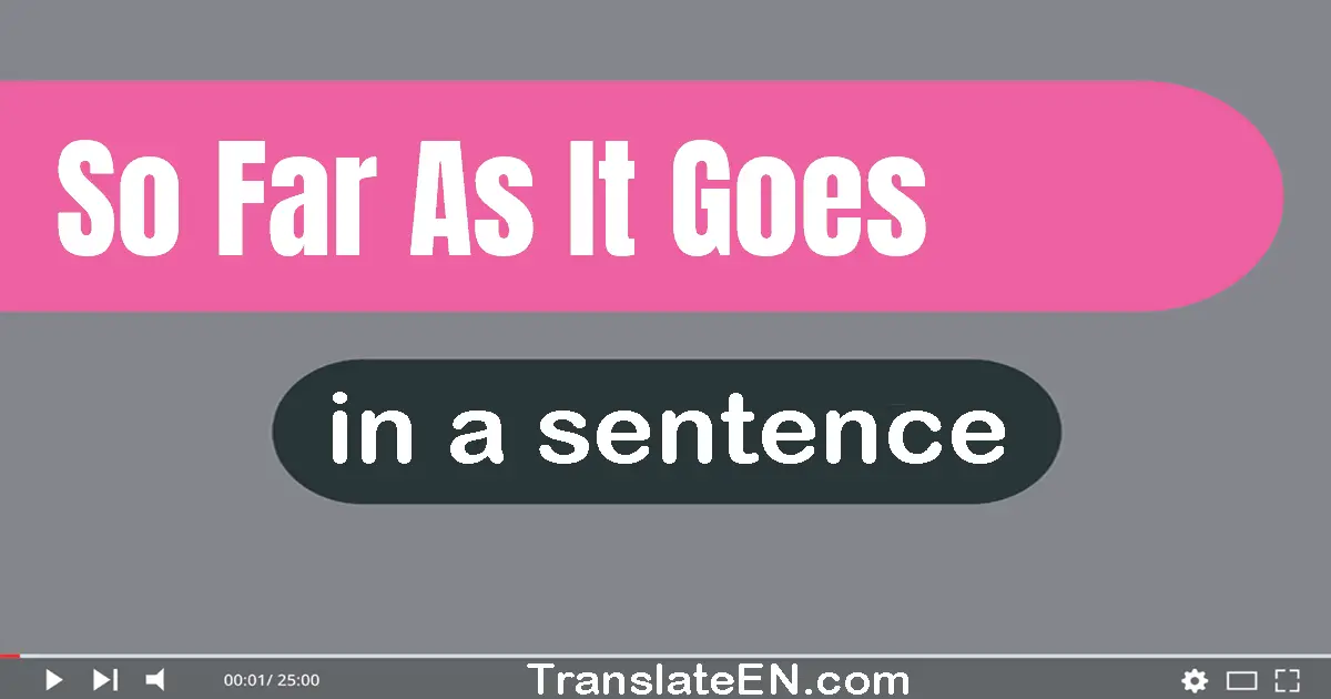 Use "so far as it goes" in a sentence | "so far as it goes" sentence examples