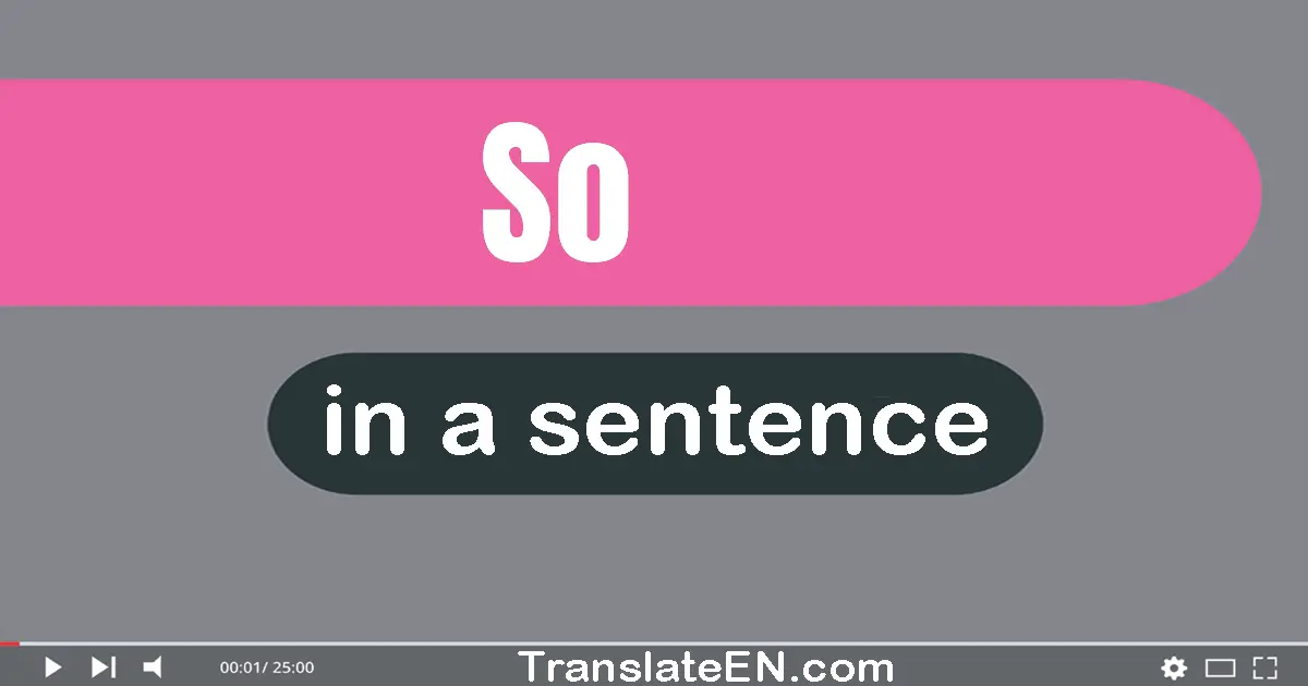 Use "so" in a sentence | "so" sentence examples