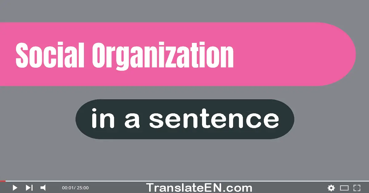 Social Organization in a sentence