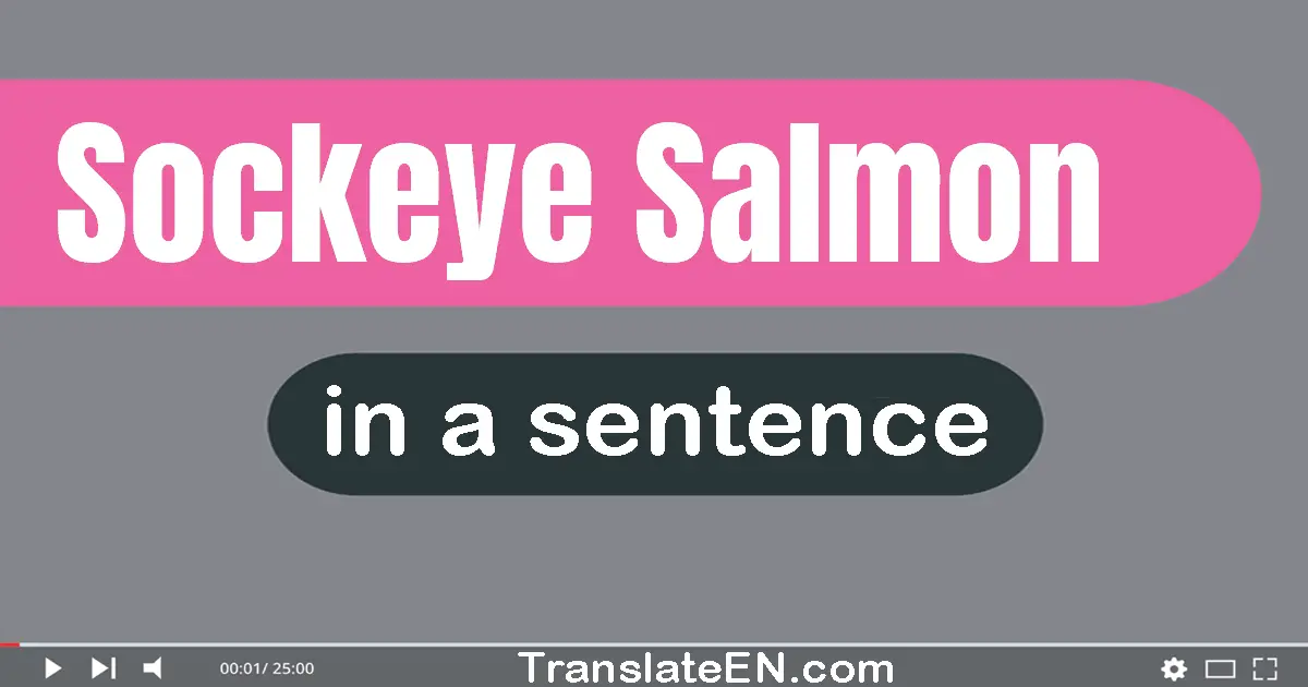 Sockeye Salmon in a sentence