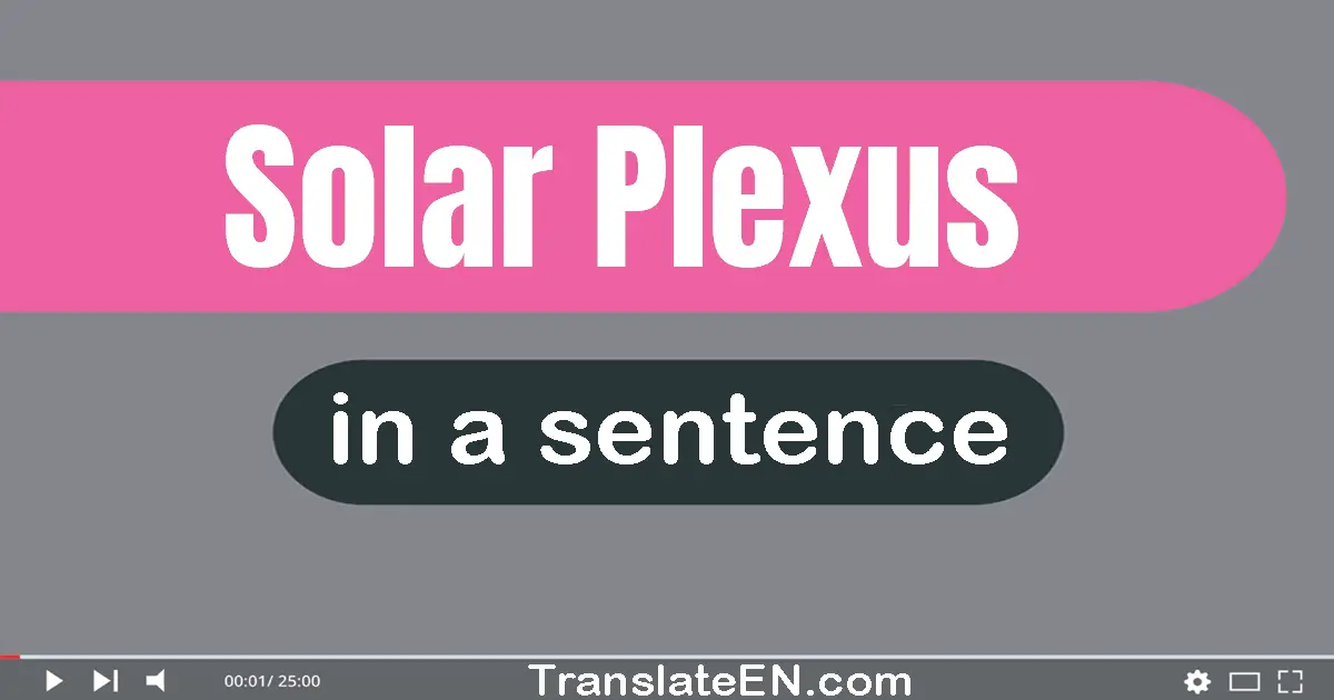 Use "solar plexus" in a sentence | "solar plexus" sentence examples