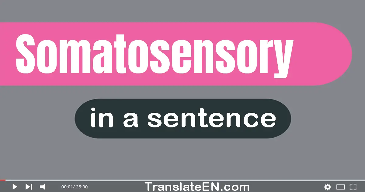 Somatosensory in a sentence