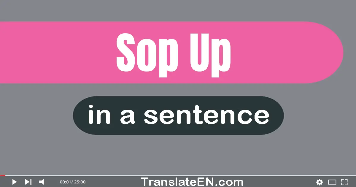 Use "sop up" in a sentence | "sop up" sentence examples