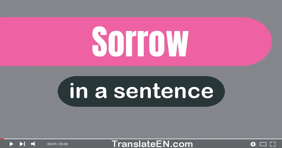 Sorrow in a sentence