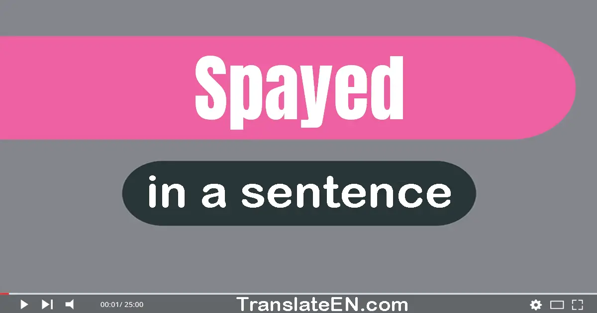 Spayed in a sentence