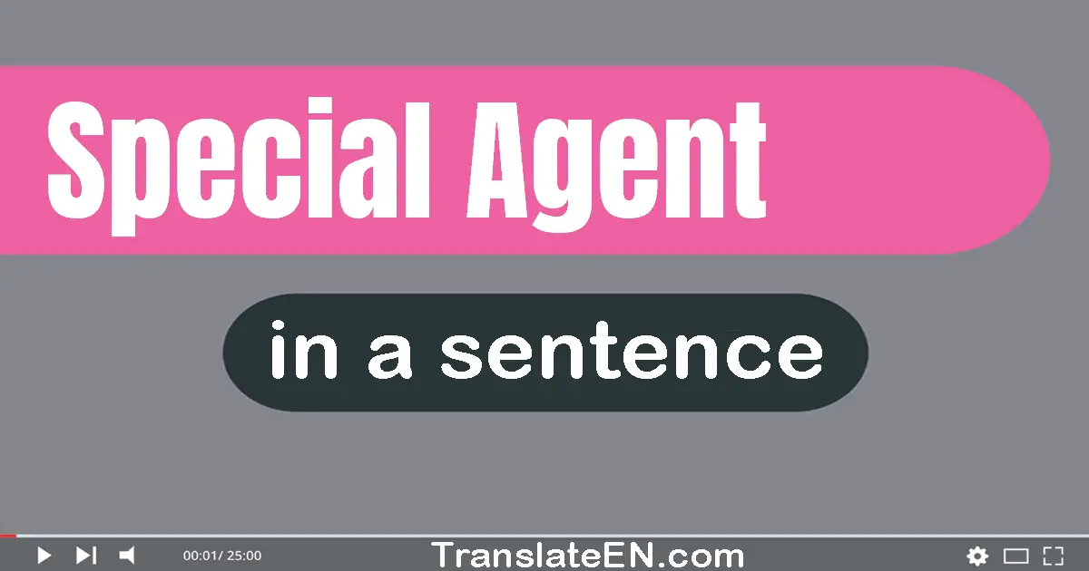 Special Agent in a sentence