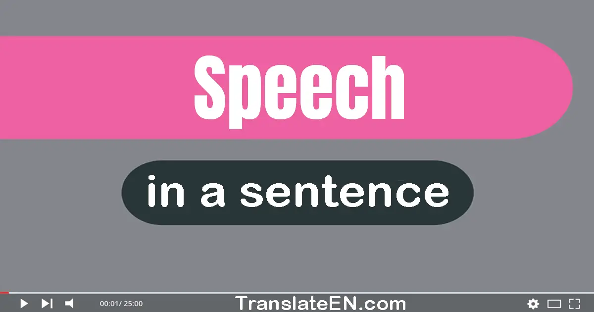 Use "speech" in a sentence | "speech" sentence examples