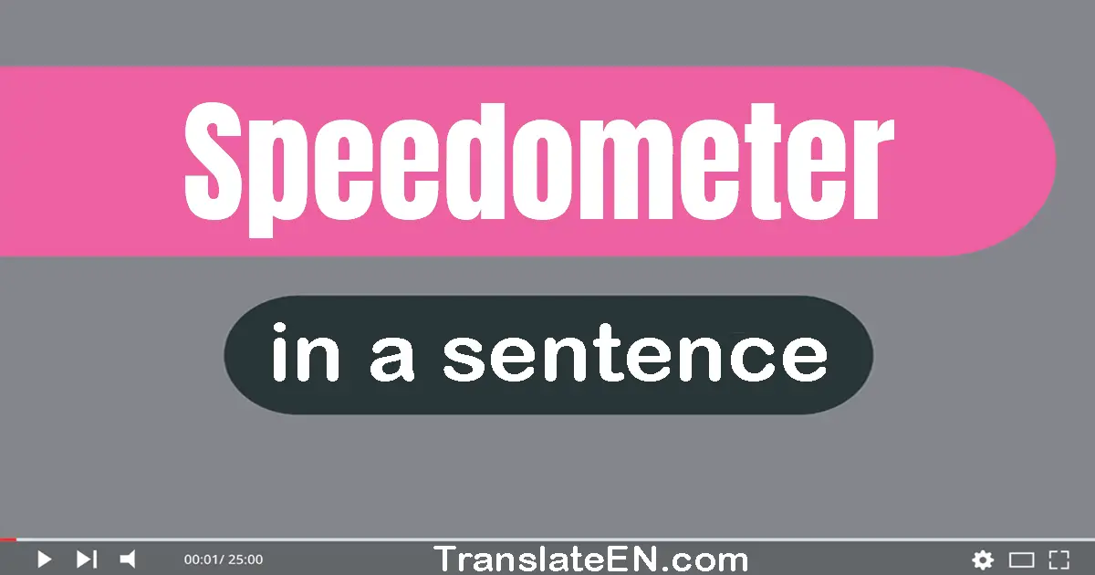 Speedometer in a sentence