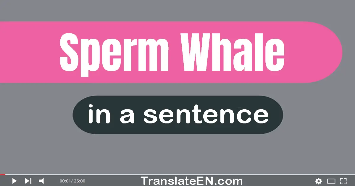 Sperm Whale in a sentence