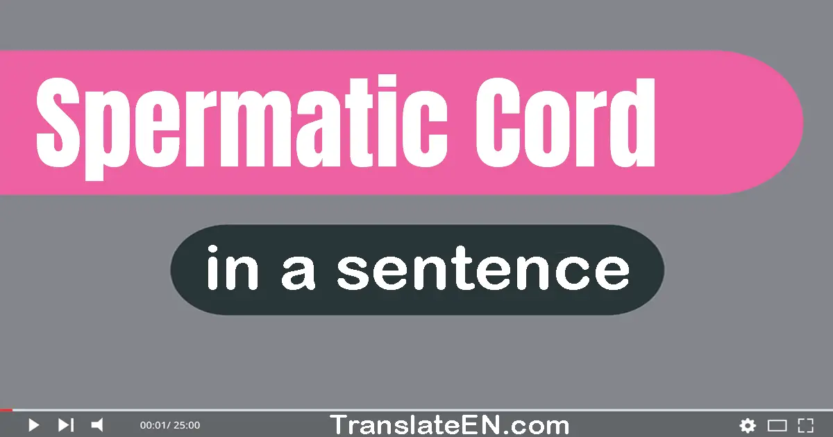 Spermatic Cord in a sentence