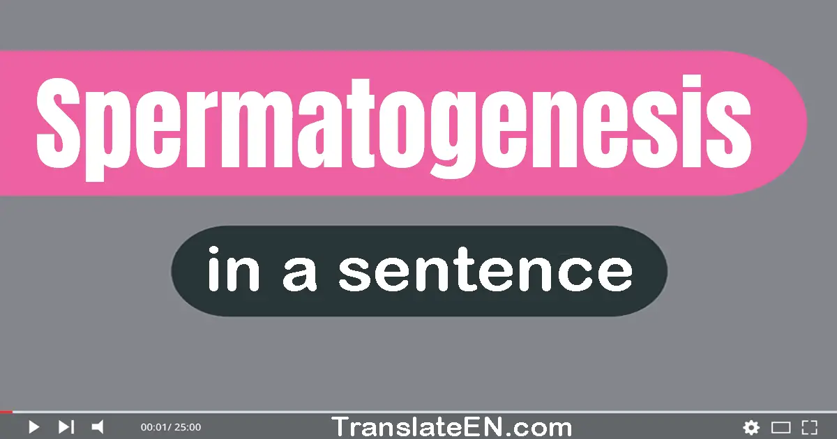 Spermatogenesis in a sentence