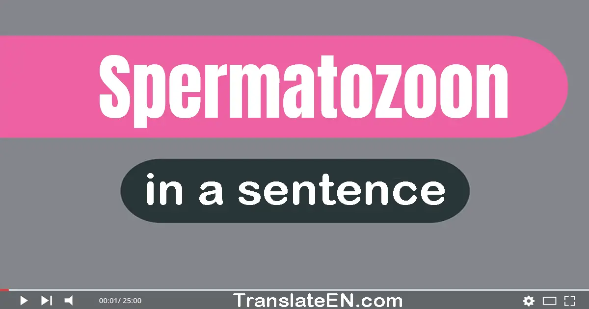 Spermatozoon in a sentence