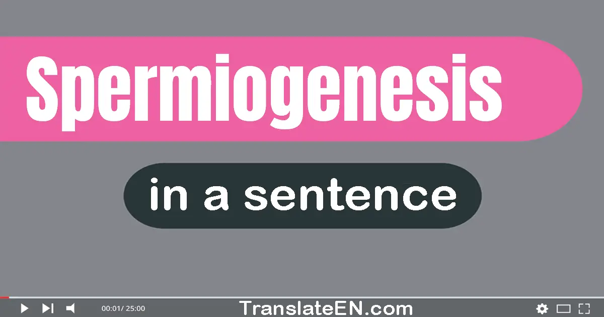 Spermiogenesis in a sentence