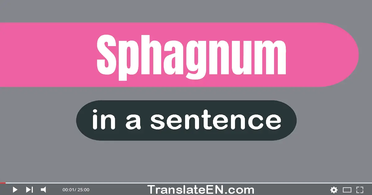 Sphagnum in a sentence