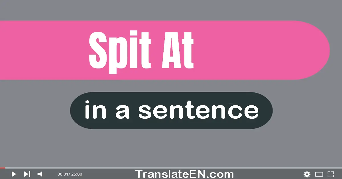 Use "spit at" in a sentence | "spit at" sentence examples