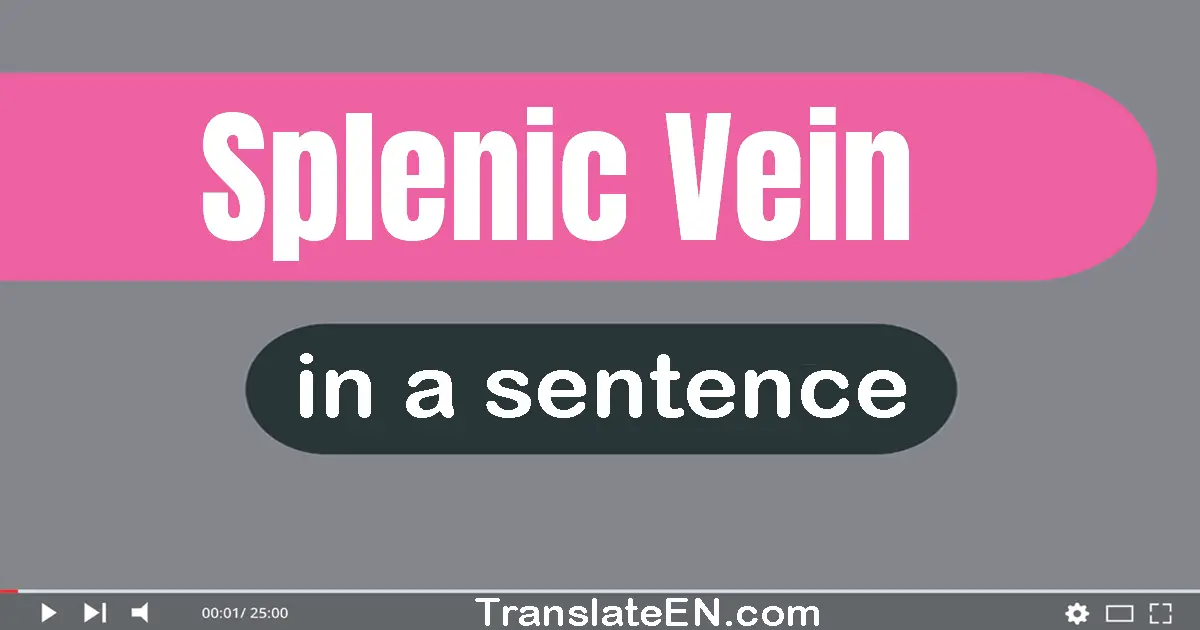 Splenic Vein in a sentence