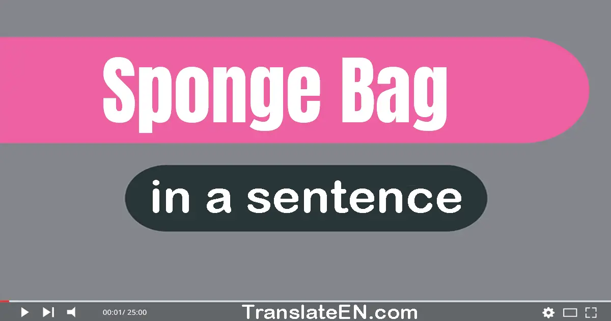 Sponge Bag in a sentence